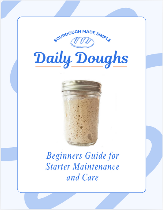 Sourdough Starter E-book